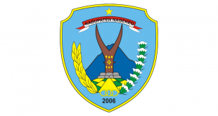 Logo Kabupaten Nagekeo