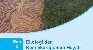 Ekologi dan Keanekaragaman Hayati Indonesia