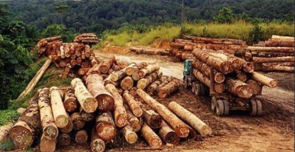 masalah sosial budaya yang dapat timbul akibat alih fungsi hutan