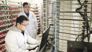 baterai mobil listrik dari plastik hasil riset ilmuwan China